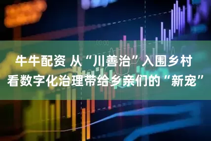 牛牛配资 从“川善治”入围乡村 看数字化治理带给乡亲们的“新宠”