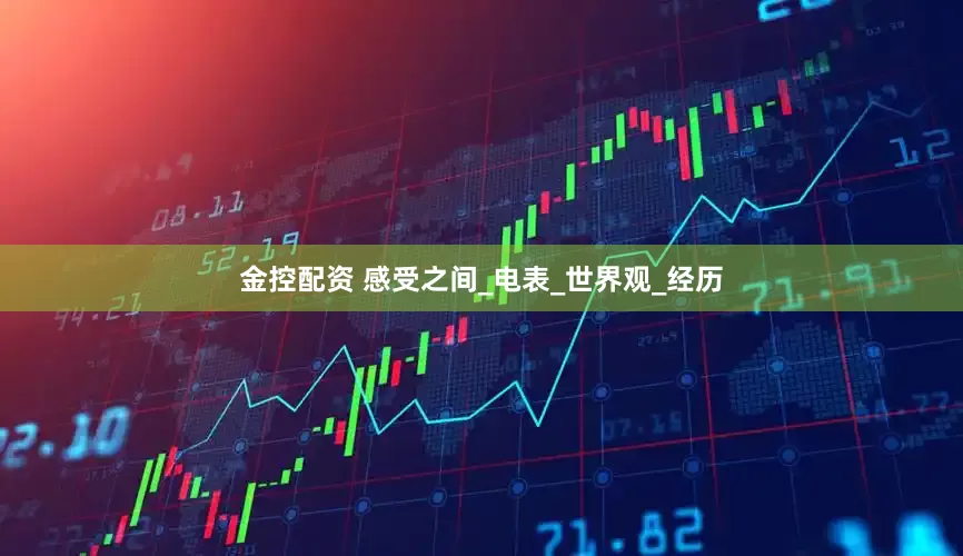金控配资 感受之间_电表_世界观_经历