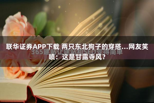 联华证券APP下载 两只东北狗子的穿搭...网友笑喷：这是甘露寺风？